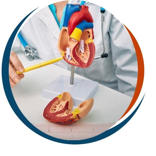 Cardiacsca